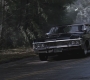 SPN_0482.jpg