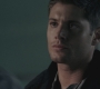 SPN_0735.jpg