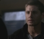 SPN_0834.jpg