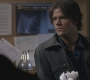SPN_0911.jpg