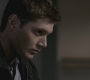 SPN_0923.jpg