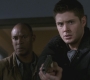 SPN_0961.jpg
