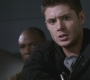 SPN_0964.jpg