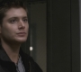 SPN_1067.jpg