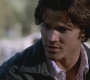 SPN_1256.jpg