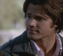 SPN_1263.jpg