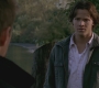 SPN_1295.jpg