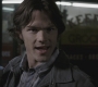Filename=SPN_0720.jpg
Filesize=69KiB
Dimensions=1280x720
Date added=Sep 28, 2021 SPN_0720.jpg