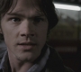 Filename=SPN_0724.jpg
Filesize=64KiB
Dimensions=1280x720
Date added=Sep 28, 2021 SPN_0724.jpg