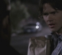 Filename=SPN_0728.jpg
Filesize=53KiB
Dimensions=1280x720
Date added=Sep 28, 2021 SPN_0728.jpg