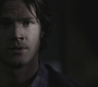Filename=SPN_0827.jpg
Filesize=35KiB
Dimensions=1280x720
Date added=Sep 28, 2021 SPN_0827.jpg