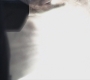 Filename=SPN_0948.jpg
Filesize=49KiB
Dimensions=1280x720
Date added=Sep 28, 2021 SPN_0948.jpg