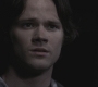 Filename=SPN_0952.jpg
Filesize=39KiB
Dimensions=1280x720
Date added=Sep 28, 2021 SPN_0952.jpg