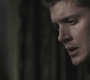 Filename=SPN_1036.jpg
Filesize=50KiB
Dimensions=1280x720
Date added=Sep 28, 2021 SPN_1036.jpg