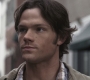 Filename=SPN_1307.jpg
Filesize=265KiB
Dimensions=1920x1080
Date added=Sep 28, 2021 SPN_1307.jpg