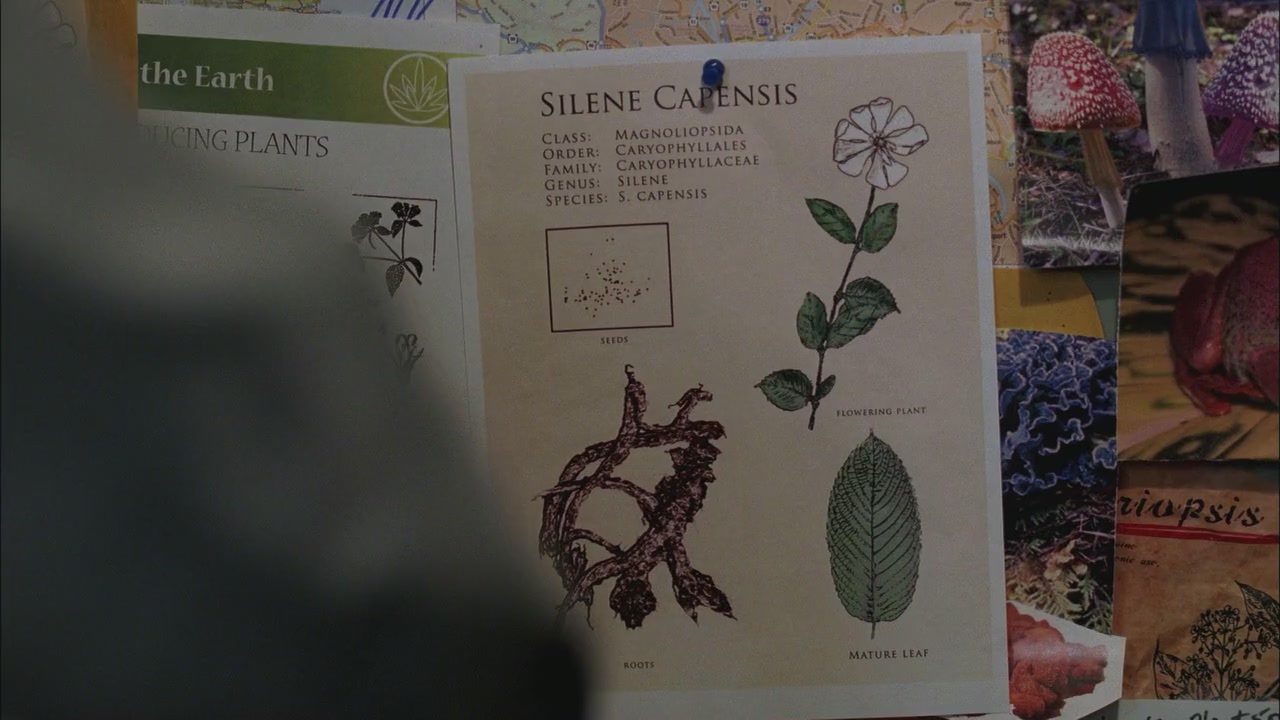 SPN_0117.jpg