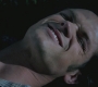 SPN_1000.jpg