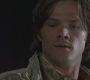Filename=SPN_0923.jpg
Filesize=57KiB
Dimensions=1280x720
Date added=Sep 29, 2021 SPN_0923.jpg