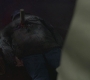 Filename=SPN_0924.jpg
Filesize=68KiB
Dimensions=1280x720
Date added=Sep 29, 2021 SPN_0924.jpg
