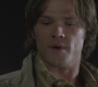 Filename=SPN_0925.jpg
Filesize=58KiB
Dimensions=1280x720
Date added=Sep 29, 2021 SPN_0925.jpg