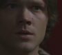 Filename=SPN_0960.jpg
Filesize=59KiB
Dimensions=1280x720
Date added=Sep 29, 2021 SPN_0960.jpg