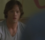 Filename=SPN_0987.jpg
Filesize=56KiB
Dimensions=1280x720
Date added=Sep 29, 2021 SPN_0987.jpg