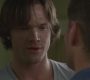 Filename=SPN_1009.jpg
Filesize=62KiB
Dimensions=1280x720
Date added=Sep 29, 2021 SPN_1009.jpg
