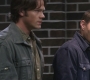 SPN_0124.jpg