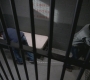 Filename=SPN_0133.jpg
Filesize=125KiB
Dimensions=1280x720
Date added=Jan 23, 2010 SPN_0133.jpg