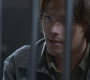 SPN_0304.jpg