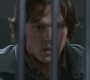 SPN_0313.jpg