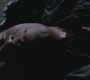 SPN_0330.jpg