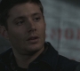 SPN_0464.jpg