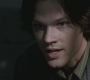 SPN_0477.jpg