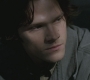 SPN_0480.jpg