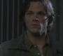 SPN_0498.jpg