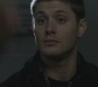 SPN_0499.jpg