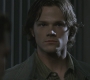 SPN_0500.jpg