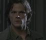 SPN_0504.jpg