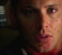 Filename=3x16_1133.jpg
Filesize=193KiB
Dimensions=1920x1080
Date added=Jan 24, 2010 3x16_1133.jpg