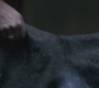 SPN_0244.jpg