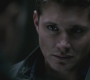 SPN_0270.jpg