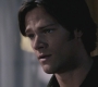 SPN_0299.jpg