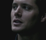 SPN_0349.jpg