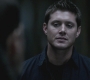 SPN_0379.jpg