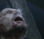 SPN_0548.jpg