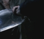 SPN_0563.jpg