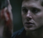 SPN_0631.jpg