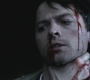 SPN_0730.jpg