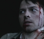 SPN_0732.jpg